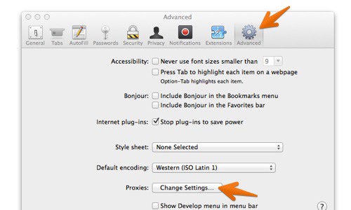 Safari advanced settings