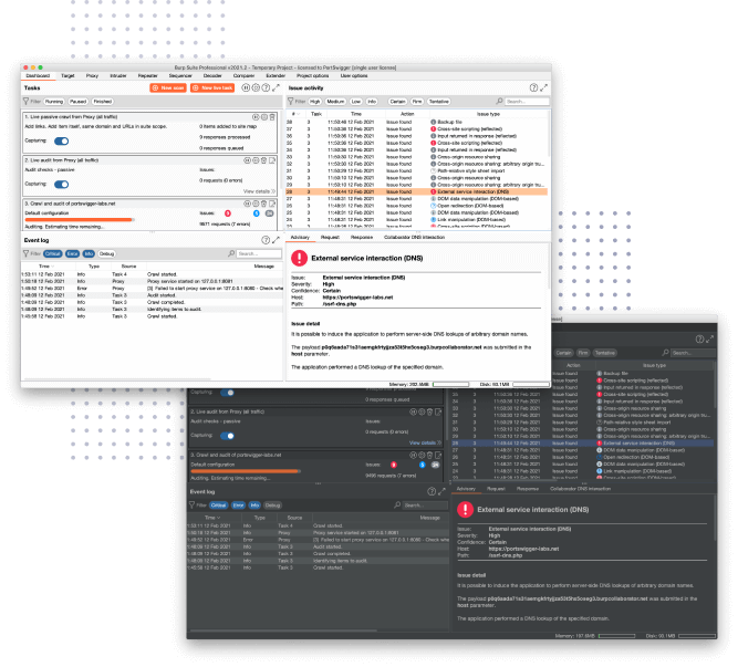 Screenshot of Burp Suite Professional's dashboard